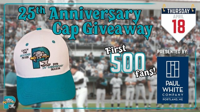 portland sea dogs vintage hat