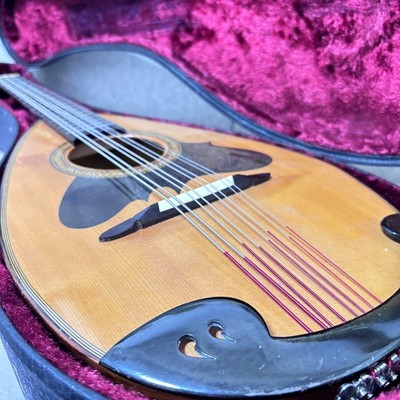 SUZUKI MD-515 Mandola Saiteninstrument mit Hartschalenkoffer