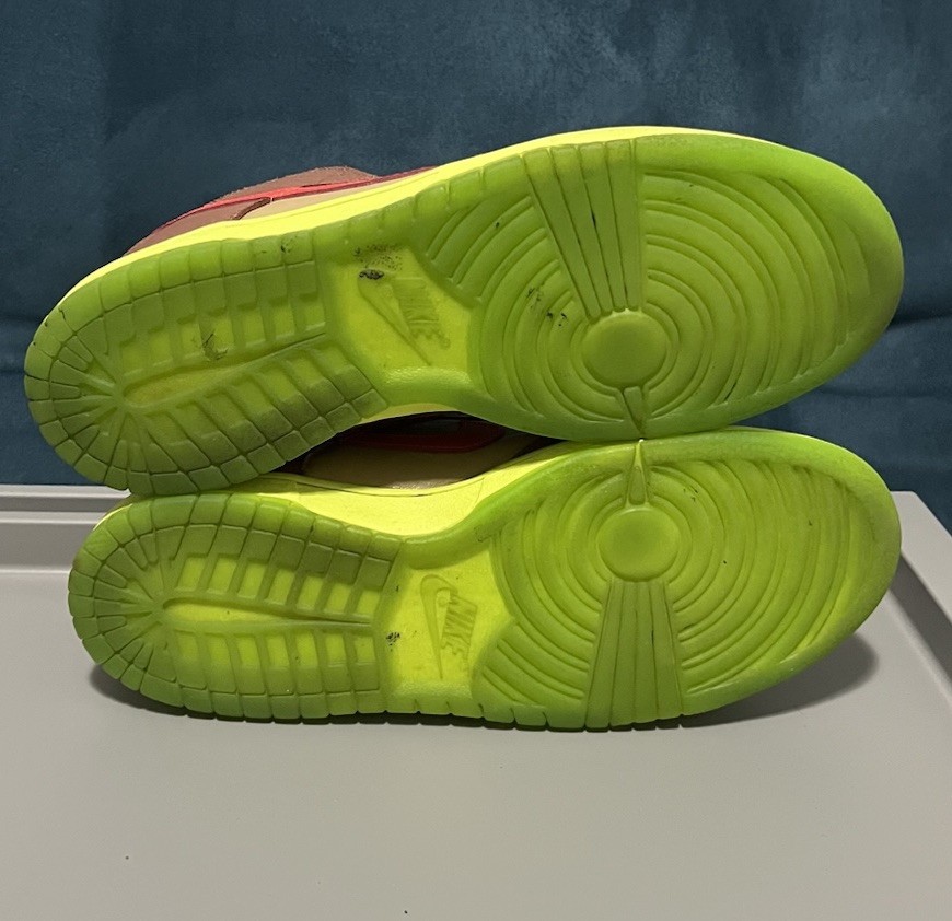 2009 Nike SB Dunk Low Premium Toxic Sea Robbin 313170 261 Worn | eBay