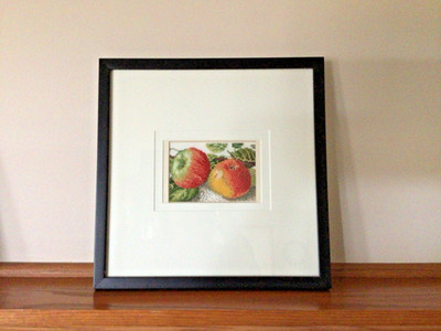 Red Apples Needlepoint Framed Picture 13 x 13