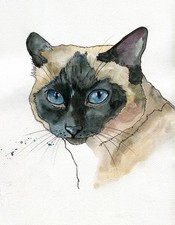 Dipinto originale ad acquerello firmato di gatto siamese