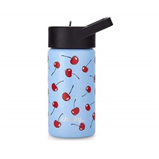 steel water bottle for kids with straw