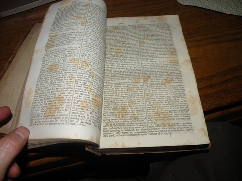 Buck's Theological Dictionary Definitions of Religious Terms, 1823 Leather 1st E - Picture 11 of 18