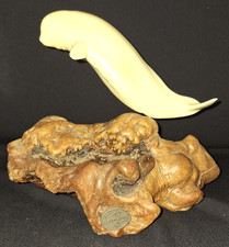 VTG 1970s JOHN PERRY BELUGA WHITE WHALE CETACEA w/BURLWOOD BASE 8