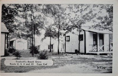 Onset, Cape Cod, MA.  Tredwell's Beach Grove  - Early Postcard