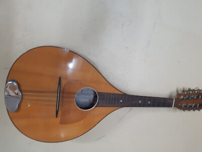 alte Mandoline mit Transporttasche