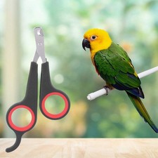 Parrot Wing Clippers, Solid Stainless Steel Bird Nail Clipper, Bird Nail Clip...