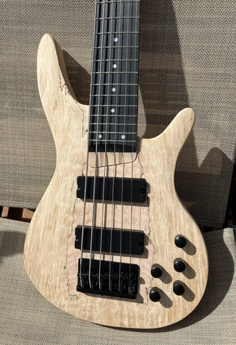 6 String Electric Bass