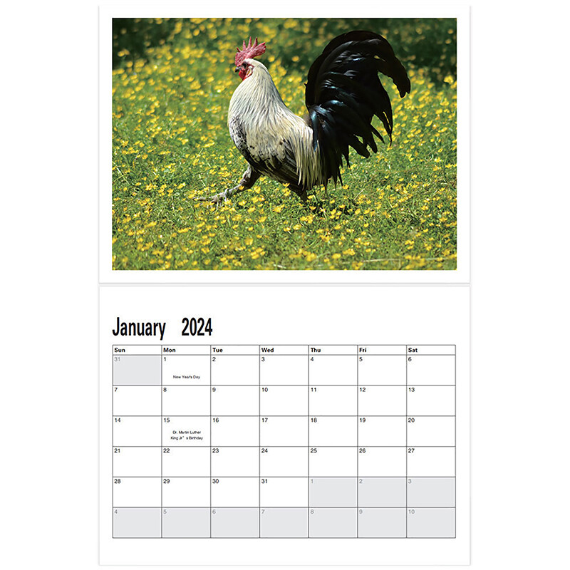 Hangable Rooster Wall Calendar Funny Calendar 2025 Wall Planner Monthly