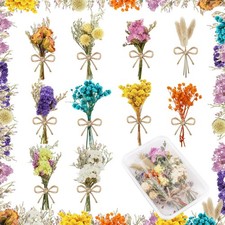 10 Pcs Mini Dried Flowers Bouquet Natural Gypsophila Don't Forget Fresh Style