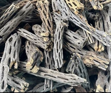 6+ Lbs Cholla Pieces • Aquarium • Terrarium • Vivarium • Shrimp • Decor • Zen