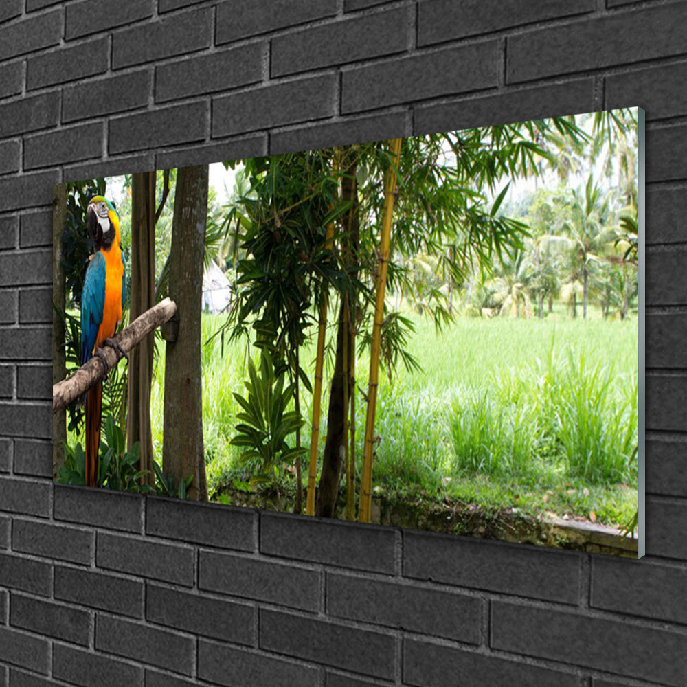 Tableau sur verre 100x50 cm nature pour raviver un mur blanc avec un perroquet