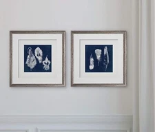 Wexford Home Cyanotype Feather -2 Piece Set Art Print, 16X16