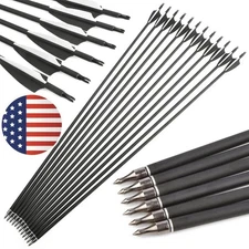 30'' Archery Carbon Arrow SP500 Compound Recurve Bow Hunting Shooting 100gr Tips