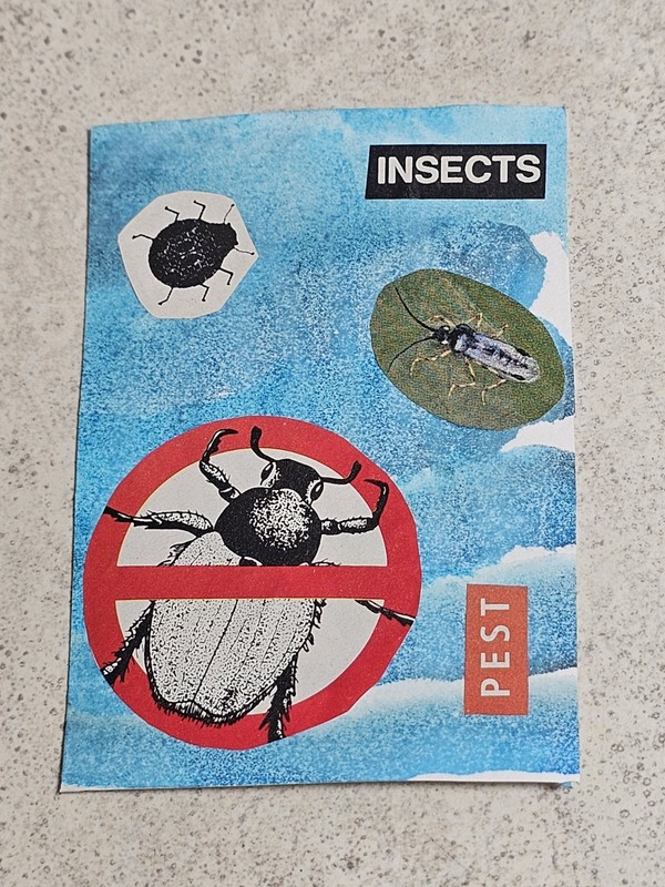 ACEO TheArtofKatie Bug Insect Tick Watercolor Junk Journal Abstract 2.5x3.5"