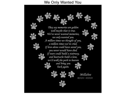 Engraved Pet Plate, Memorial Poem, WE ONLY WANTED YOU 4 Sizes To Choose Dog Cat