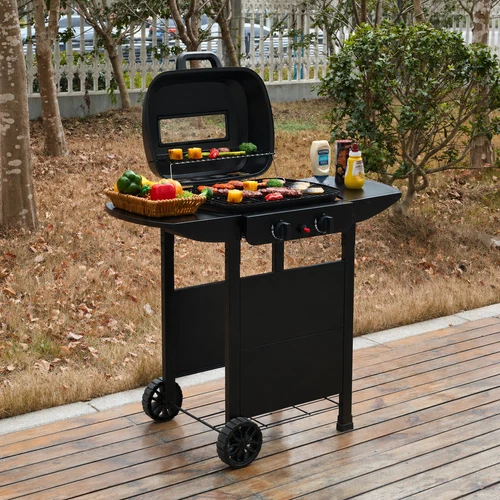 2 Burner Gas Grill BBQ with Cover, Gas Regulator & Lid Ideal for Outdoor Cooking