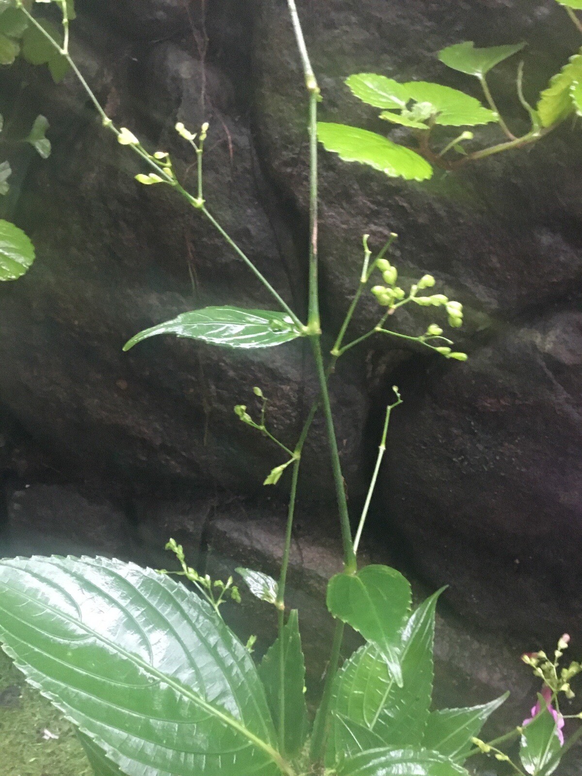 Picture 3 of 3