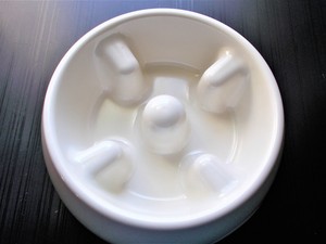 dog dish maze