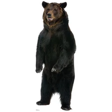 BROWN BEAR CARDBOARD CUTOUT Standee Standup Poster Prop Huge Animal FREE SHIP