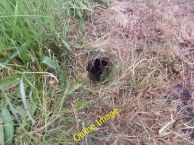 Foto 6x4 Loch östlich von Little Thatch runder Ahorn vielleicht ein Kaninchen ho c2014