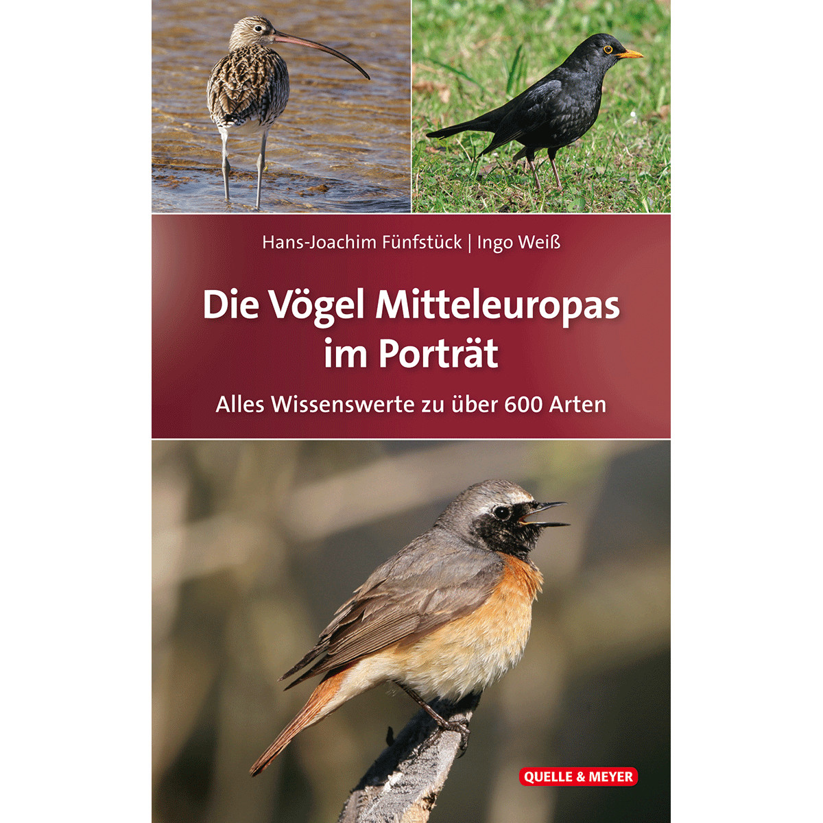 Thumbnail - Die Vögel Mitteleuropas Porträt. Alles Wissenswerte Zu Über 600 Arten.