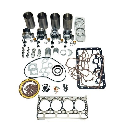 Overhaul Rebuild Kit for Perkins Engine 404D-22 Teksan Generator TJ23PE6A 