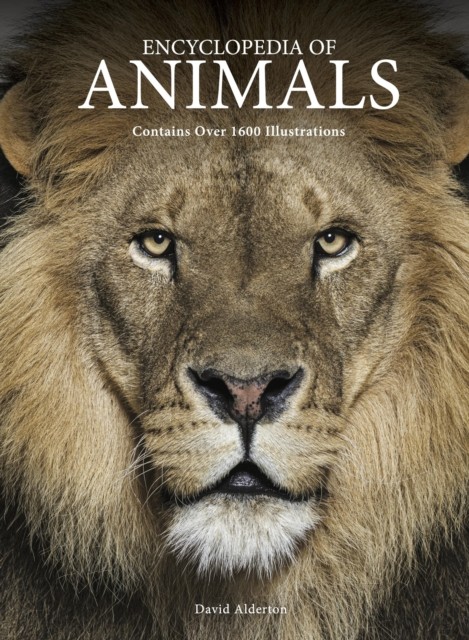 Encyclopedia of Animals by David Alderton (Hardback Book)