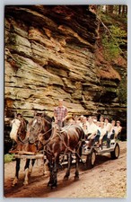 Wisconsin Dells WI Postcard Lost Canyon Horse Carriage on Tour Unposted