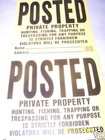 Foto 2 di 3