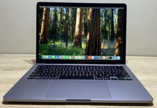 Apple MacBook Pro 13.3" 2022 M2 Chip 256GB SSD 16GB RAM (A2338) / READ DESCRIP