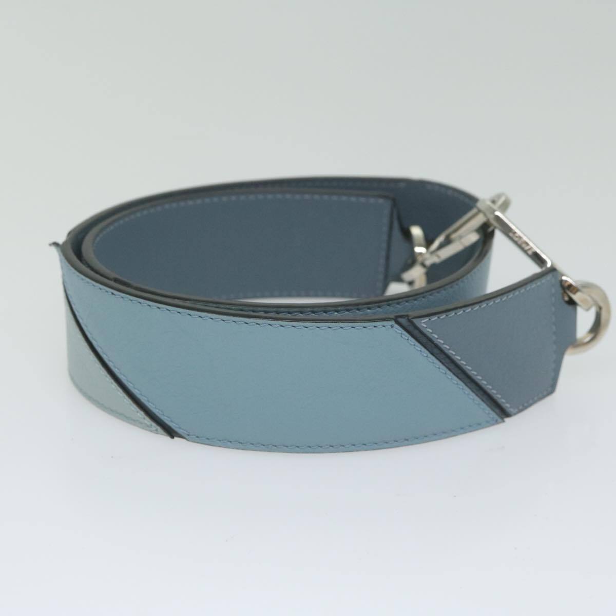 LOEWE 青 レザー キーホルダー LOEWE 【超美品】ロエベ カラ バッグチャーム オランダカイウ