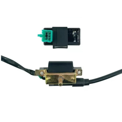 Bobina De Encendido Compatible Con ATV, Go Kart, Dirt Pit Bike, 50cc - Foto 8