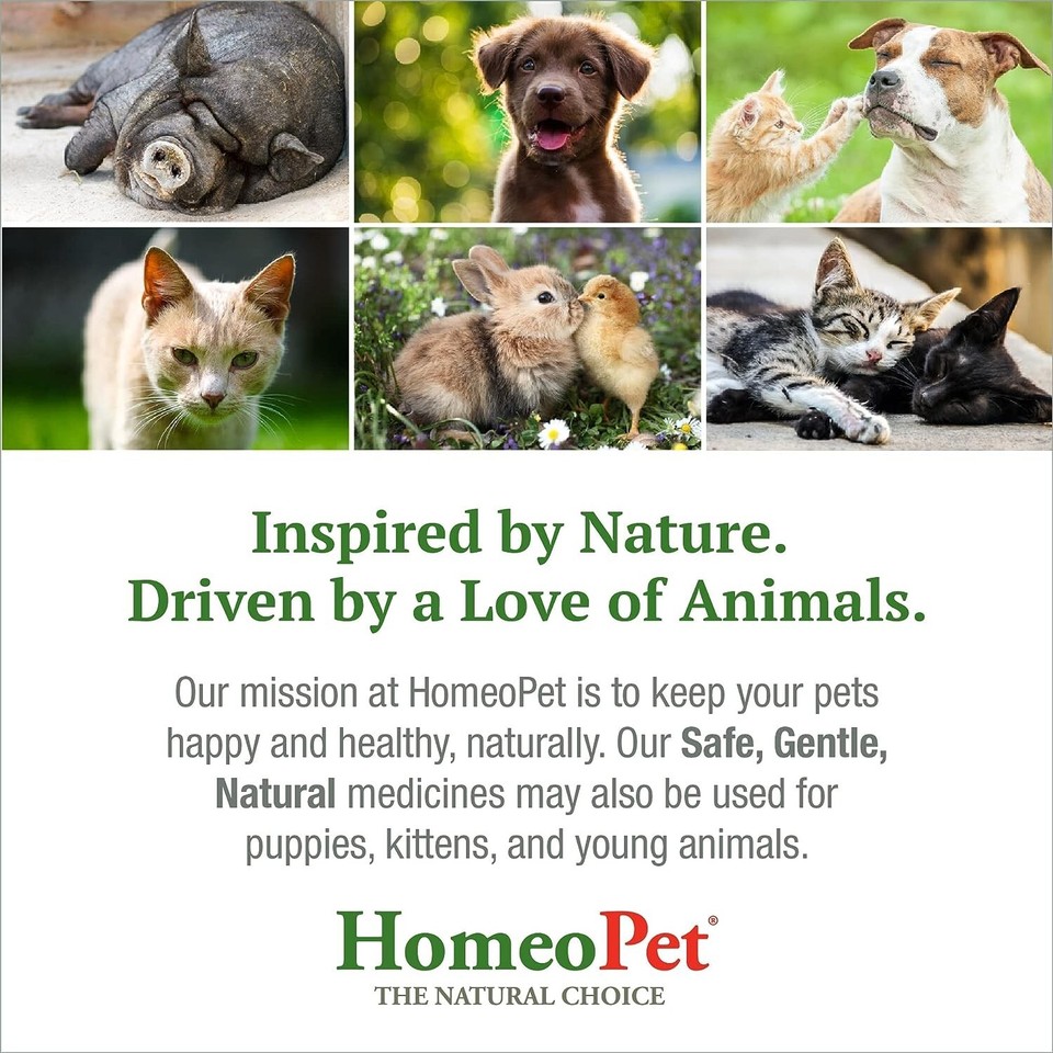 HomeoPet Feline Nose Relief Safe and Natural Nasal and Sinus Medicine