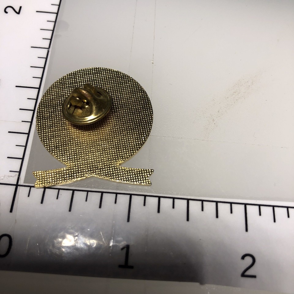 1998 Le Mars Iowa BPOE Benevolent Order Of The Elks 428 Button Pin