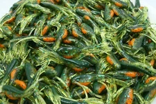 2" Perch Minnow Tubes Hollow Fat Belly Crappie Panfish Fishing Baits