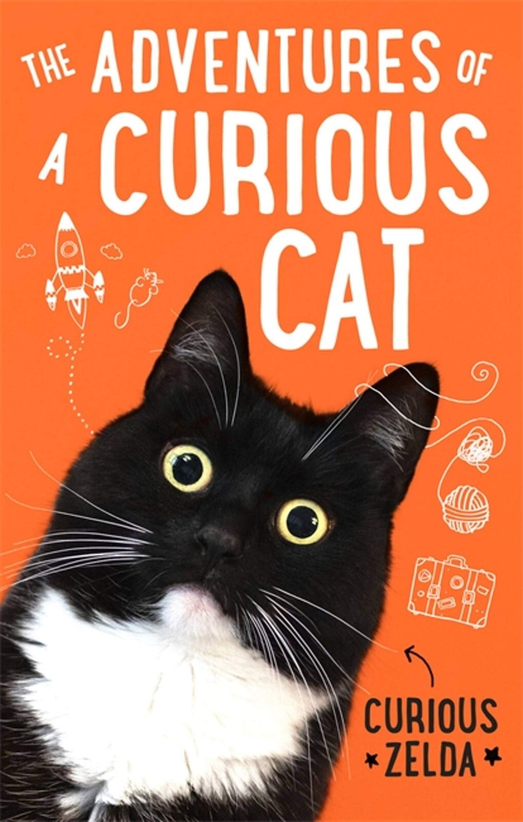 The Adventures of a Curious Cat: wit and wisdom from Curious Zelda New Book Gift