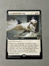 Songbirds' Blessing - Extended Art Standard Commander: Wilds of Eldraine NM MTG