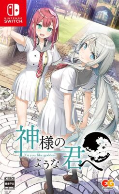 EnterGram To You Like Goddess Switch HAC-P-A4GHA JP