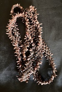 19” Long Hawaiian Koa Seed Necklace Koa Means Warrior: Strength Bravery Courage