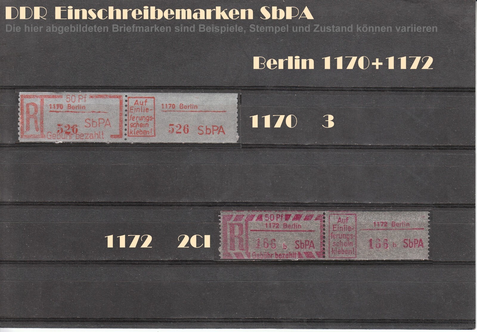 Bild 15 von 19