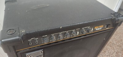 Roland BN-100 Bass Guitar Combo Amplifier Amp 15