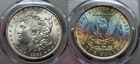 1881 O Morgan Silver Dollar $1 PCGS MS 63 Gorgeous Toning