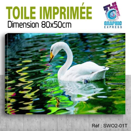 80x50cm - PRINTED CANVAS POSTER BOARD DECO - SWAN - SIGN - BIRDS - SW2-01T - Picture 1 of 1