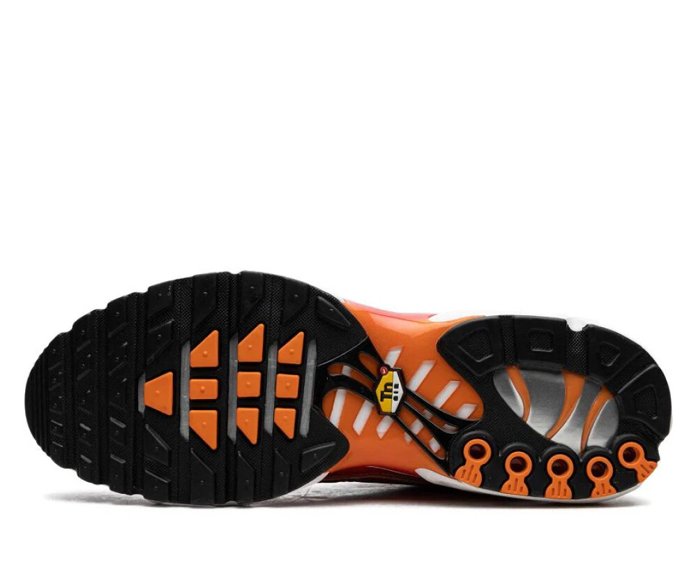 NIKE AIR MAX PLUS OG TN 'LIGHT PHOTOGRAPHY' SNEAKERS SCARPE NIKE AIR MAX PLUS OG TN 'LIGHT PHOTOGRAPHY' SNEAKERS SCARPE