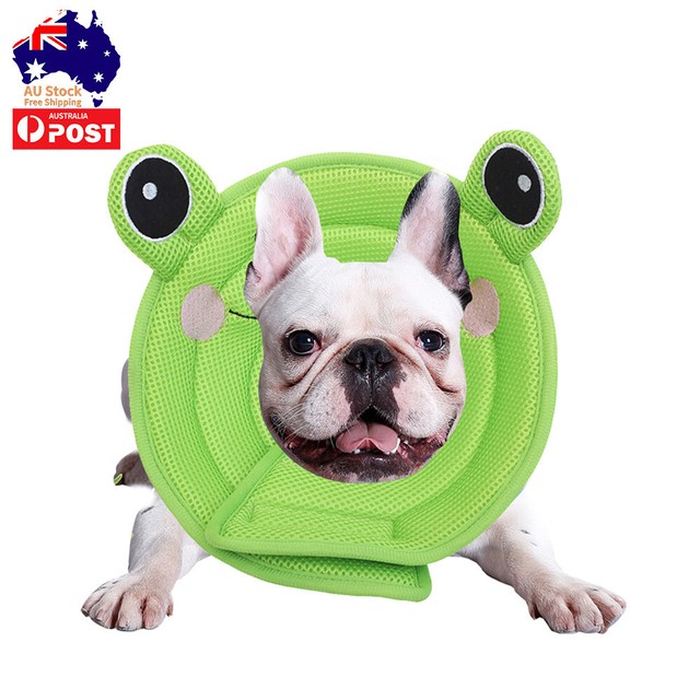 elizabethan collar alternative