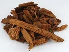 Jezebel Root pieces 4oz (Pinus) for Herbal Rituals Magick