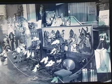 Poll Parrot Show Display Advertising Shoes Pratt Kansas KS photo negative