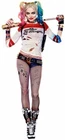 Margot Robbie Harley Quinn life size cut out 165cm x 75cm corflute foldable