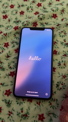 iPhone XS Max